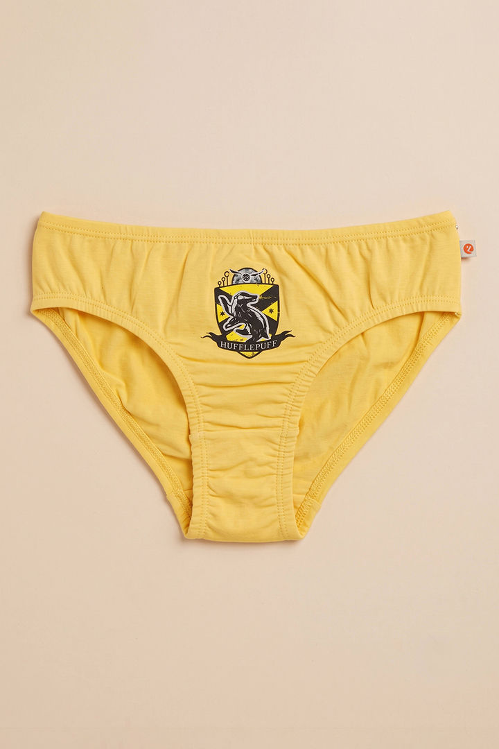 Zivame Girls Harry Potter Briefs (Pack of 2) - Multicolor — image 2
